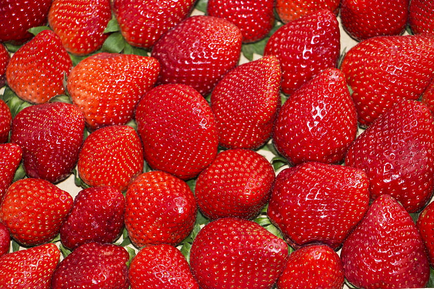 Food, Strawberry, Berries, Ripe HD wallpaper
