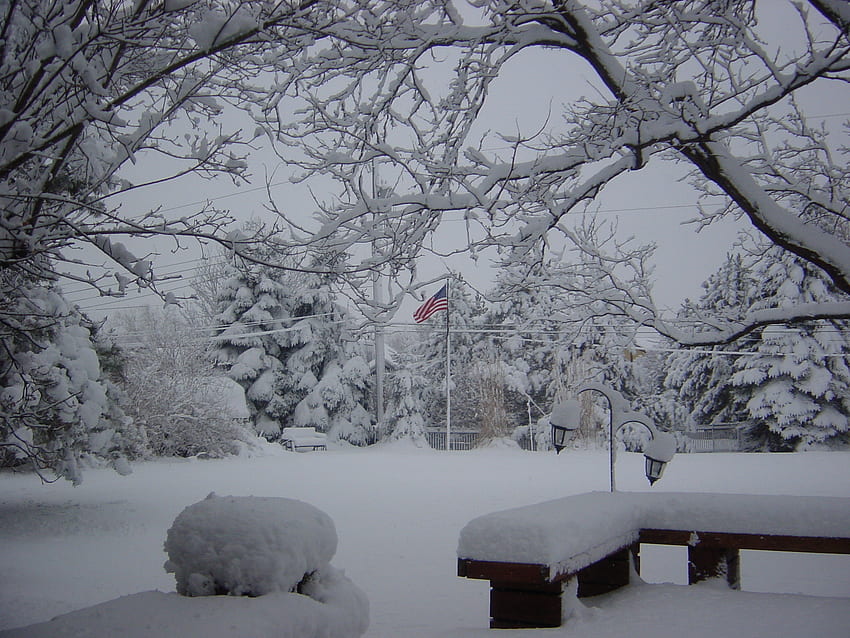私たちの裏庭、裏庭、アメリカの国旗、冬のワンダーランド、雪 高画質の壁紙