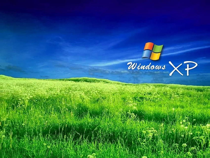 아트 : 잔디 Windows XP HD 월페이퍼
