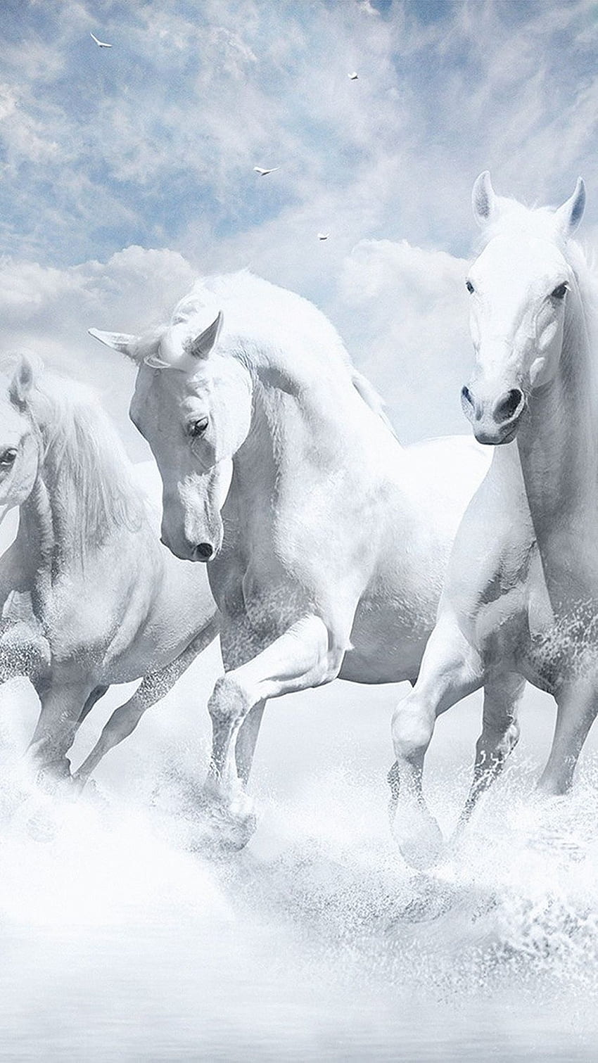 White Horses Water Sky Illustration Art iPhone 8 HD phone wallpaper