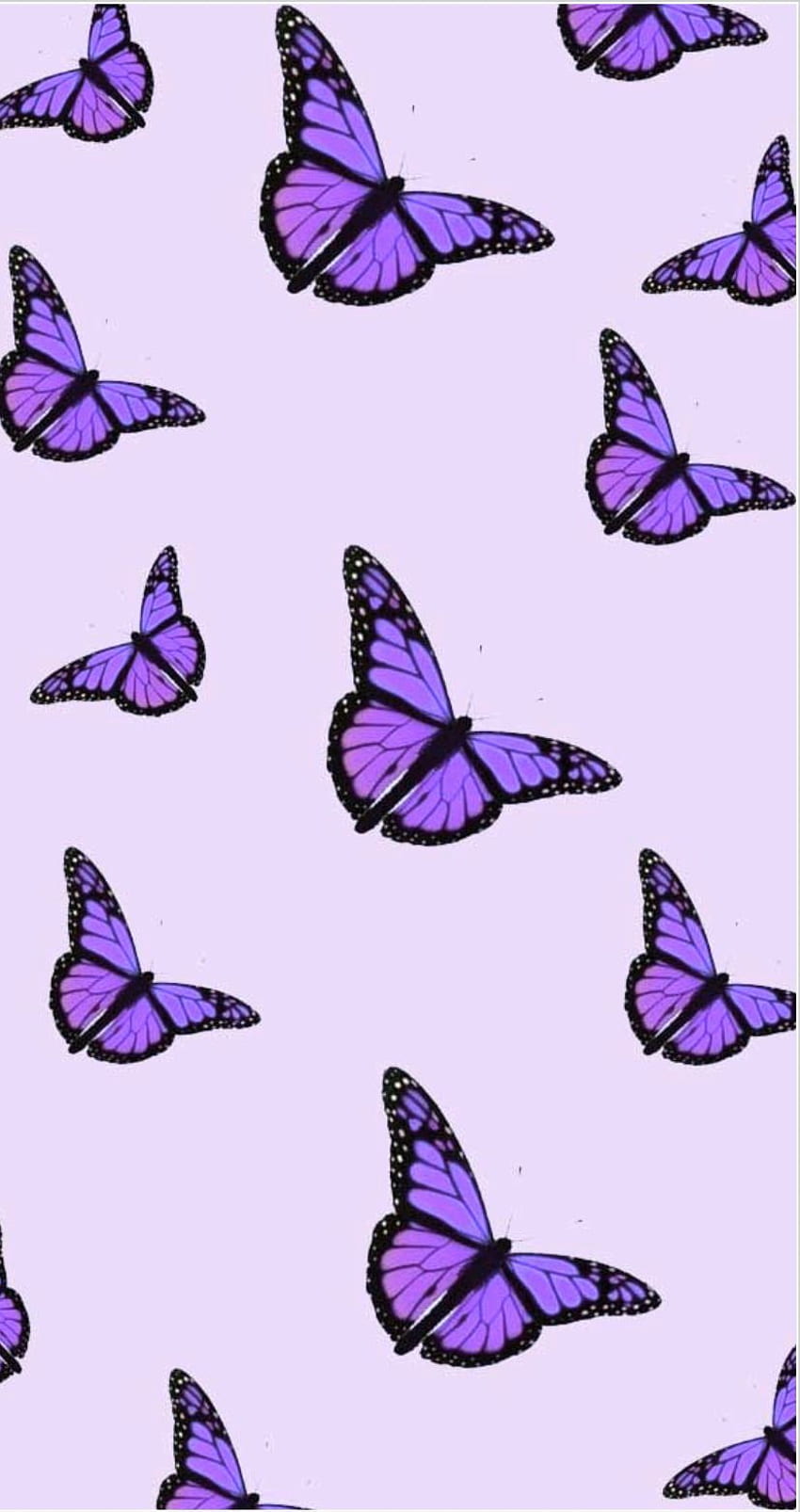미적 나비 보라색, 보라색 나비 iPhone HD 전화 배경 화면
