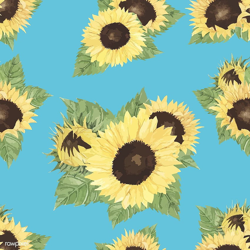 hand drawn sunflower isolated background. How to draw hands, vector illustration, Sunflower iphone, Watercolor Sunflower HD phone wallpaper