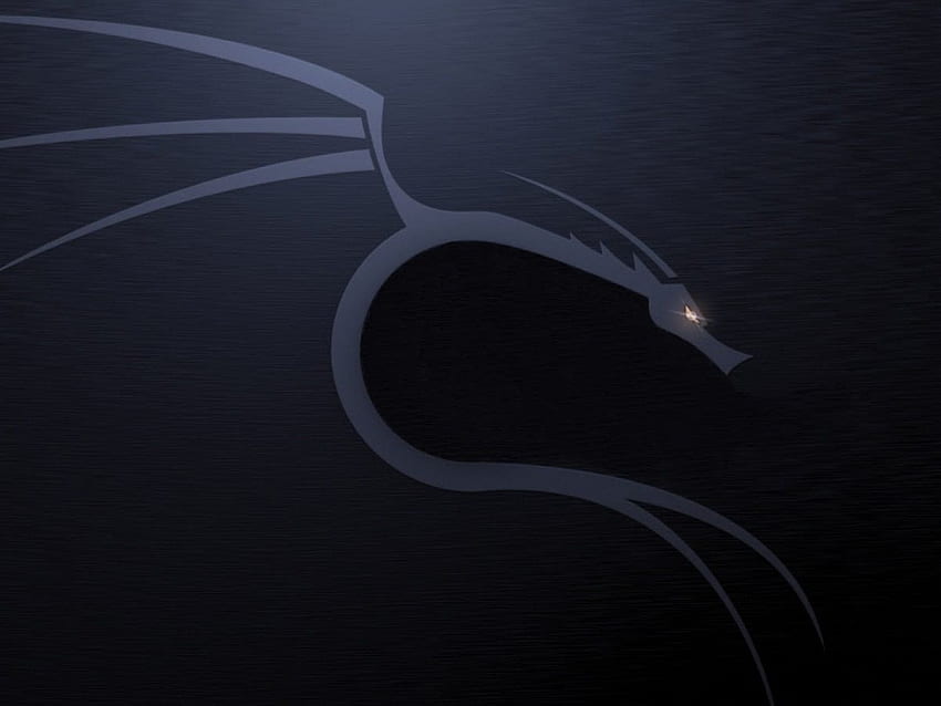 Gray and black dragon , Linux, Kali Linux NetHunter • For You For & Mobile HD wallpaper
