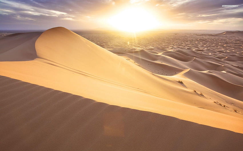 Sand Dunes [] for your , Mobile & Tablet. Explore Sand Dunes . UTV , Beach Sand for Walls, Dune, Glamis HD wallpaper
