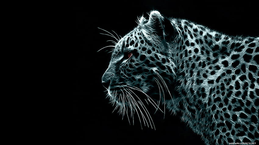 harimau, binatang hutan, binatang, animasi, terbaik Wallpaper HD