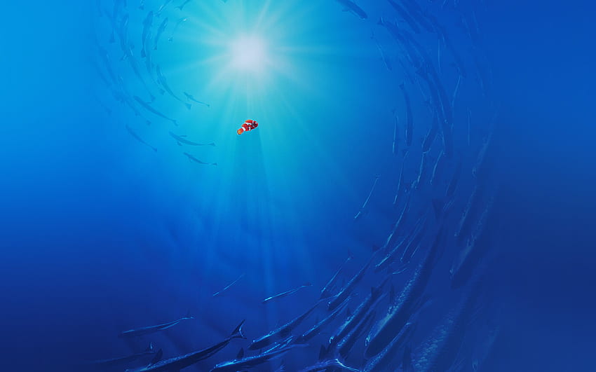Finding Dory Disney Nemo Cute HD wallpaper