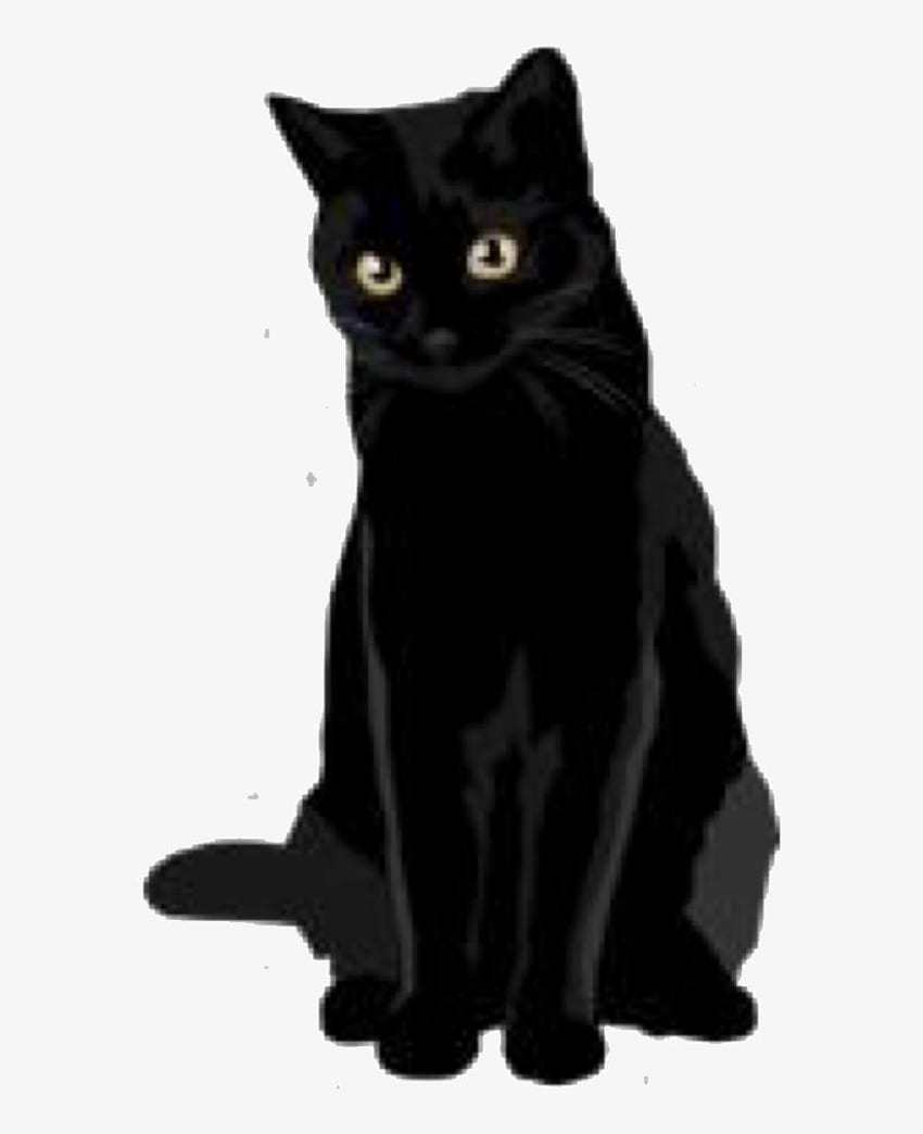 Blackcat Black Cats Darkart Dark Tumblr toedit - Как да дресираме, Естетична черна котка HD тапет за телефон