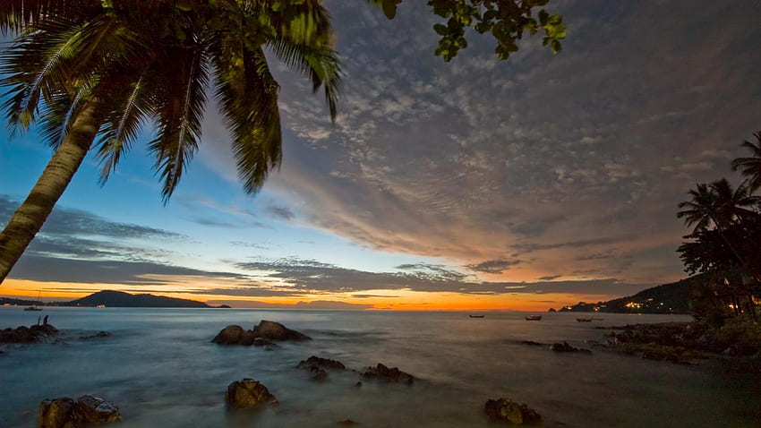 büyülü patong plajında ​​palmiye ağacı phuket tayland, deniz, ışıklar, bulutlar, gün batımı, ağaç, plaj HD duvar kağıdı
