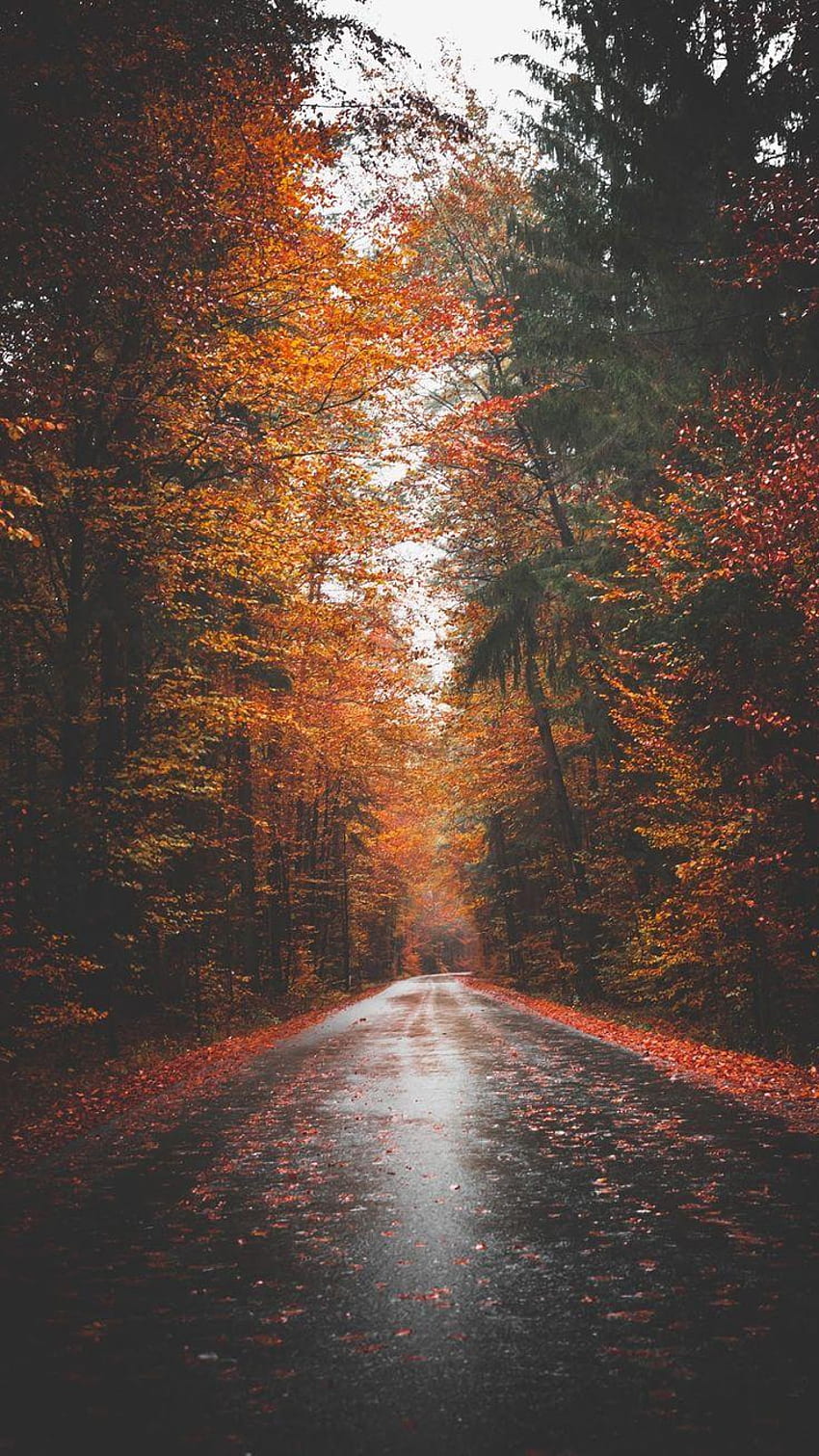 autumn tumblr backgrounds