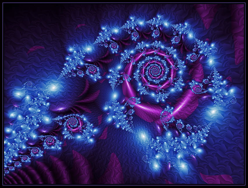 Lila Rose . Purpurrote Rosen, Rosen-Blume, Fraktale, blaue und purpurrote Rose HD-Hintergrundbild