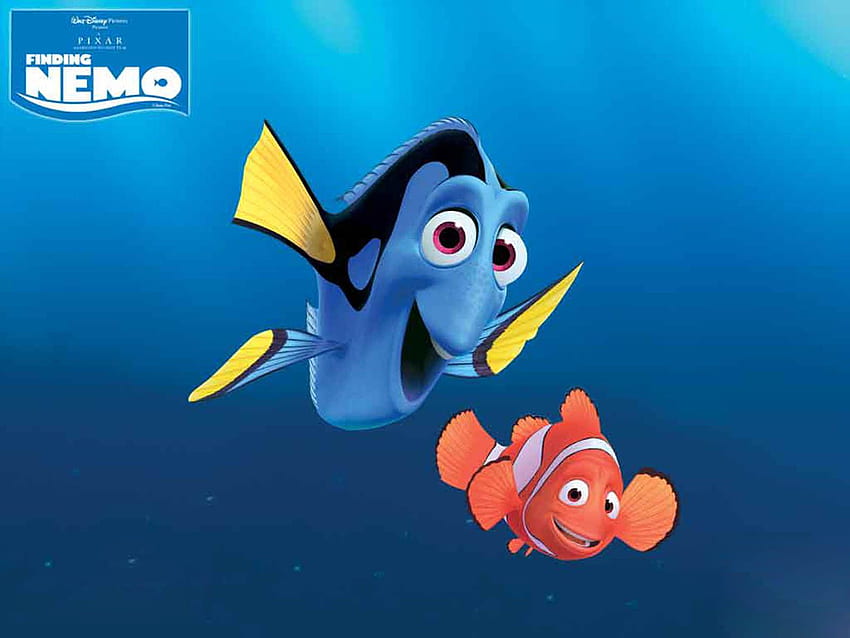 Nemo , Cute Dory HD wallpaper