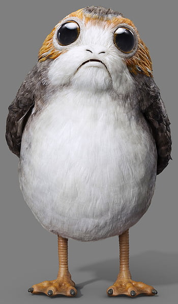 Porg Background HD wallpaper | Pxfuel