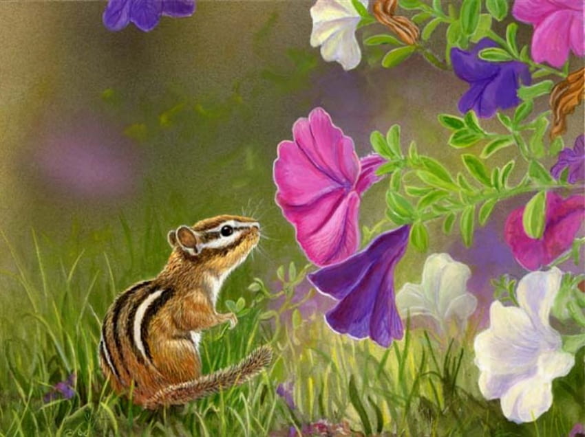 Stoppen Sie und riechen Sie die Blumen, Tiere, Streifenhörnchen, Natur, Blumen, Gras, Petunien HD-Hintergrundbild