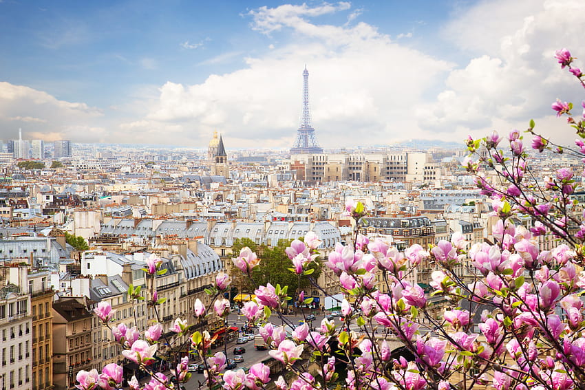 Eiffel tower, Paris, France, flowers, beautiful blossom HD wallpaper