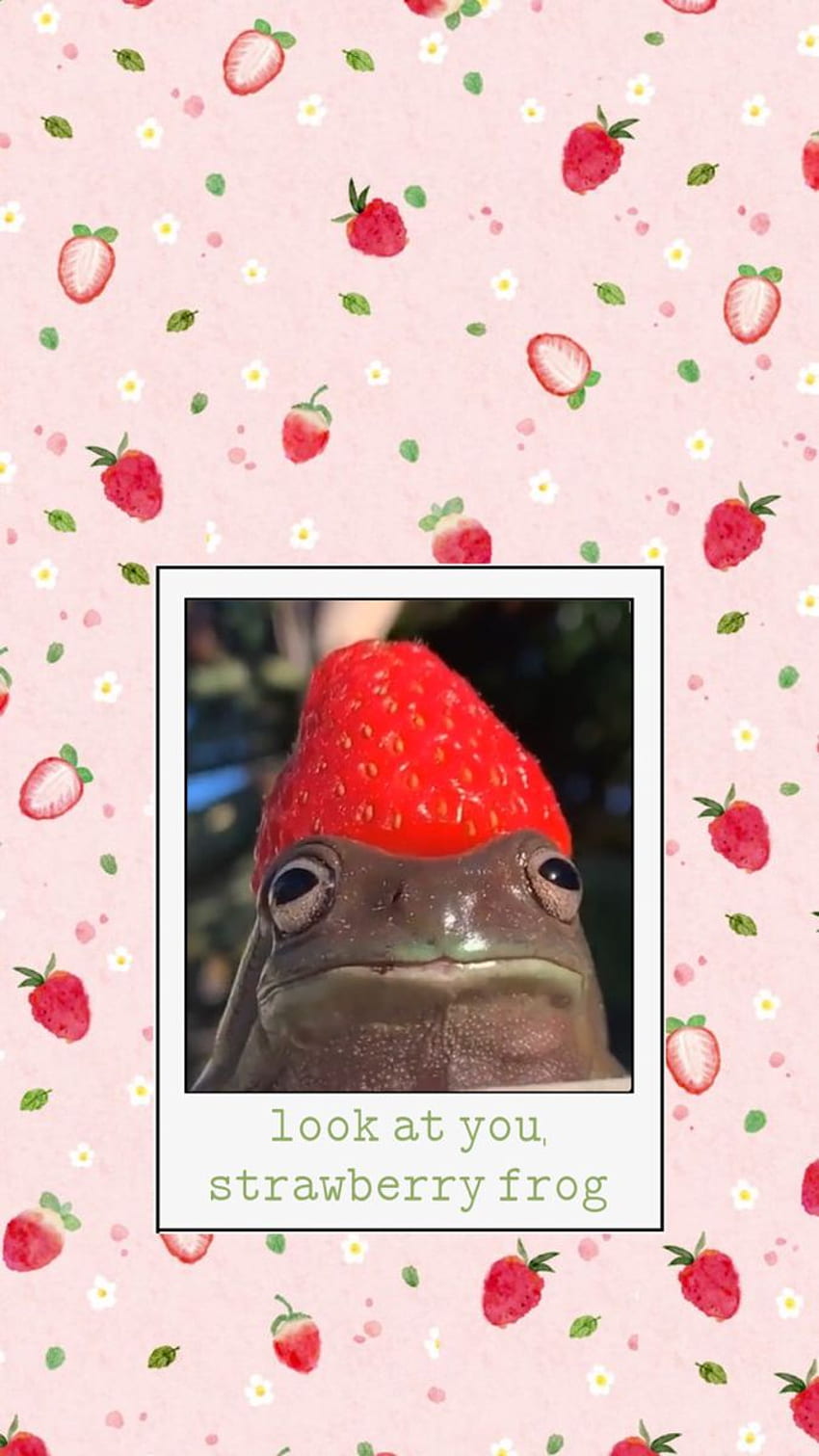 Strawberry Frog by xxMiniPandaxx on DeviantArt