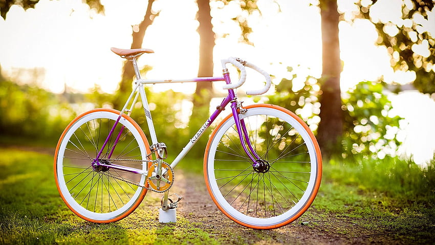 Sun, Summer, , , Spring, Mood, Bicycle HD wallpaper