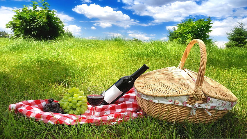 Picnic In The Park Cute Chill Lo Fi Wallpaper Stock Illustration - Download  Image Now - 1980-1989, Animal, Art - iStock