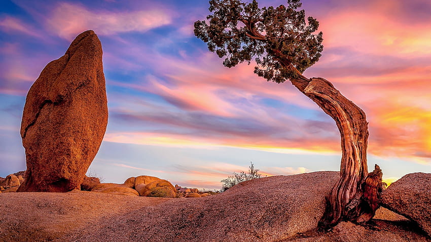 Joshua Tree NP, Калифорния, скали, пейзаж, облаци, цветове, небе, САЩ, залез HD тапет