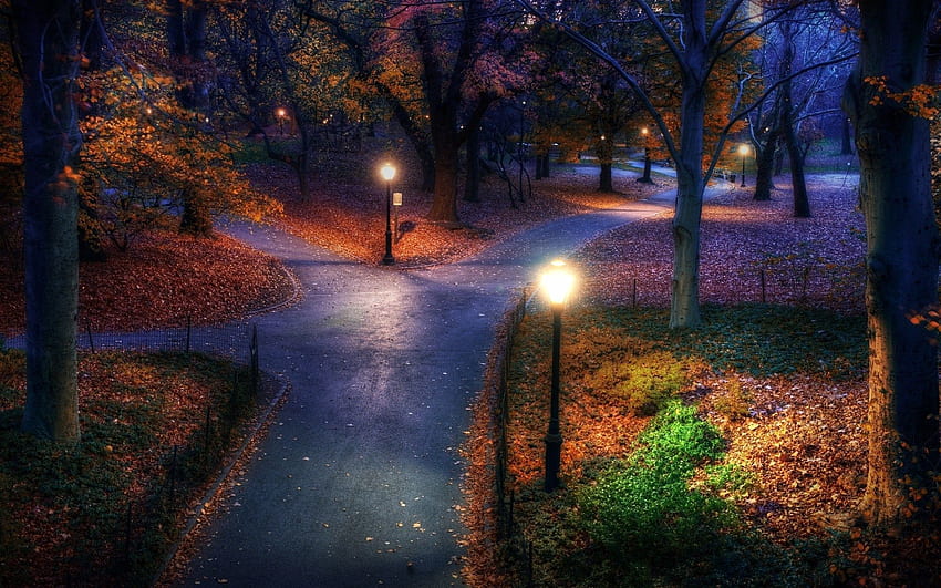 Città, autunno, foglie, città, luci, parco, lanterne, sentiero, sentieri, marciapiede Sfondo HD