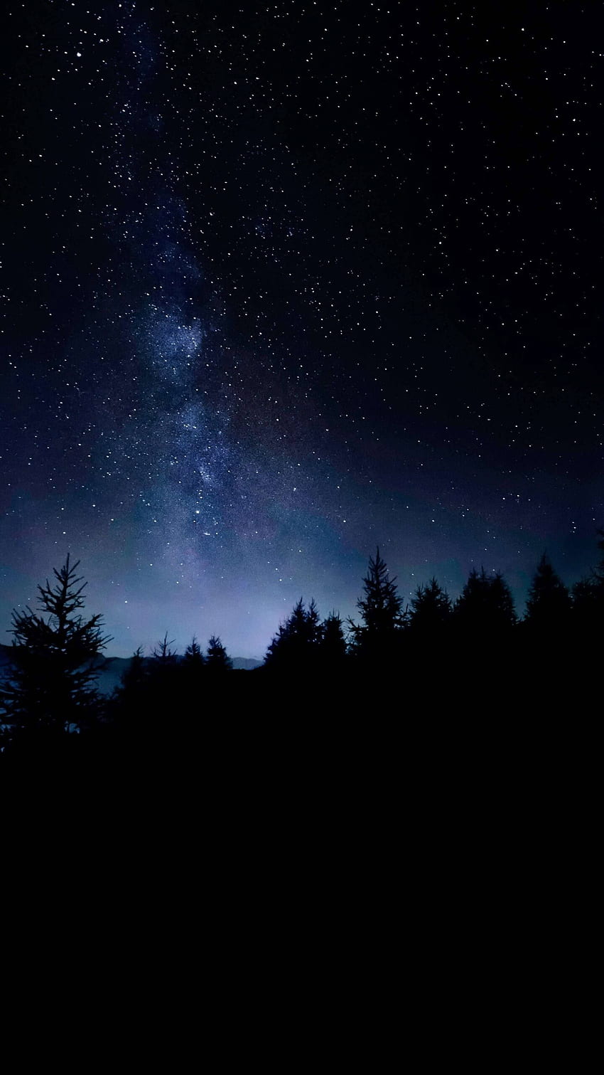 IPhone 13 Amoled Trees Starry Sky - iPhone 13 pro max , iPhone 12 ...