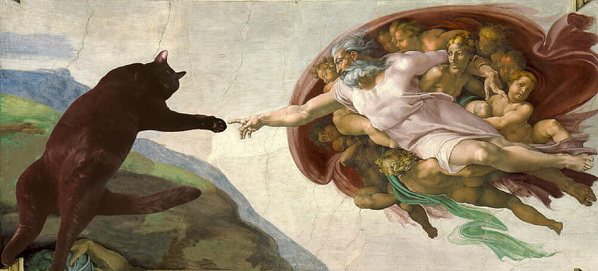 The Creation of my Cat, god, meow, cat, art HD wallpaper