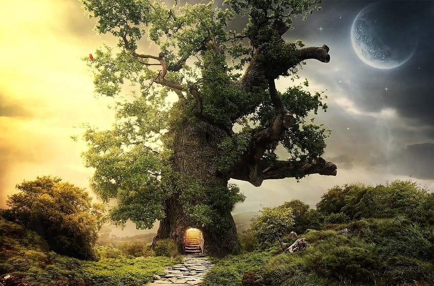 Fantasy, Wood, Tree, Greens, Planet, Steps, Entrance HD wallpaper