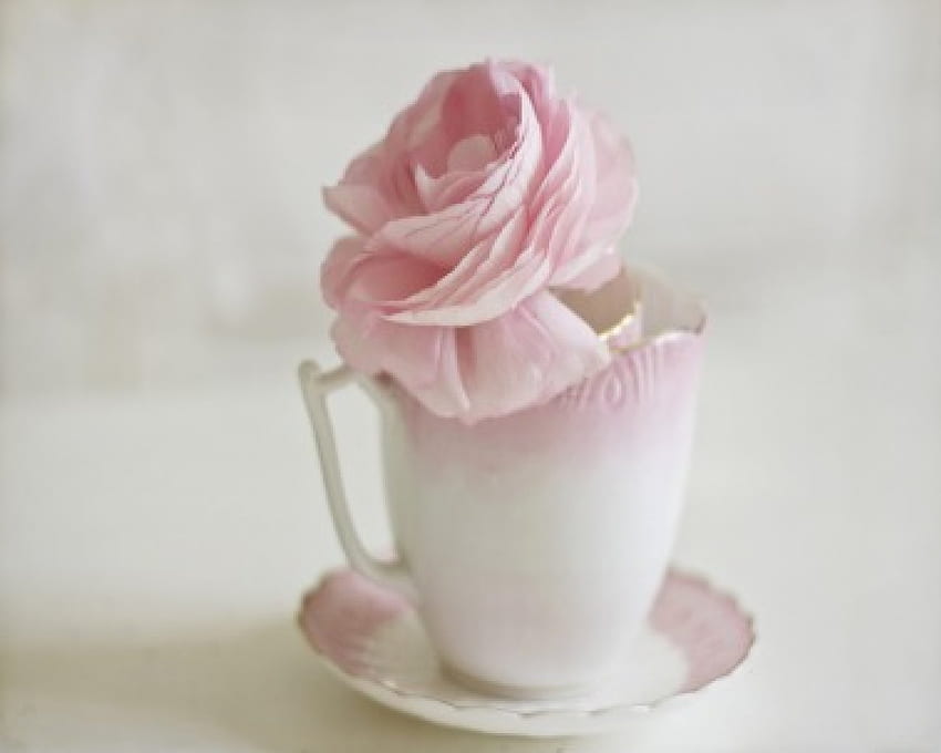 Para querida Alexandra, pastel, suave, feminilidade, rosa rosa, xícara, estilo caseiro, beleza, natureza morta, elegante papel de parede HD