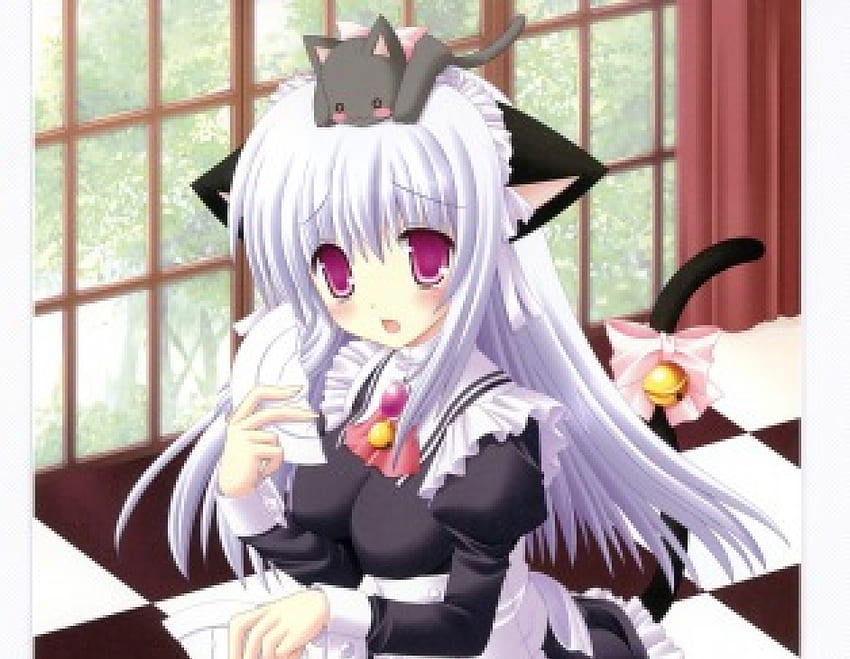 Neko, Anime, Katze, Mädchen, lange Haare HD-Hintergrundbild