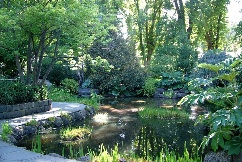 Natur, Wasser, Bäume, Glanz, Licht, Garten, Schatten, Teich HD-Hintergrundbild