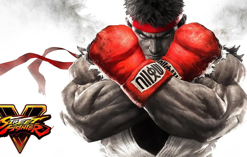 cinema, game, fighter, anime, fog, man, cartoon, movie, asian, film, martial artist, Street Fighter, Ryu, japanese, chest, gloves for , section игры, Anime Boxing HD wallpaper