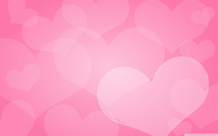 pink valentines day background happy valentines day 2560 HD wallpaper