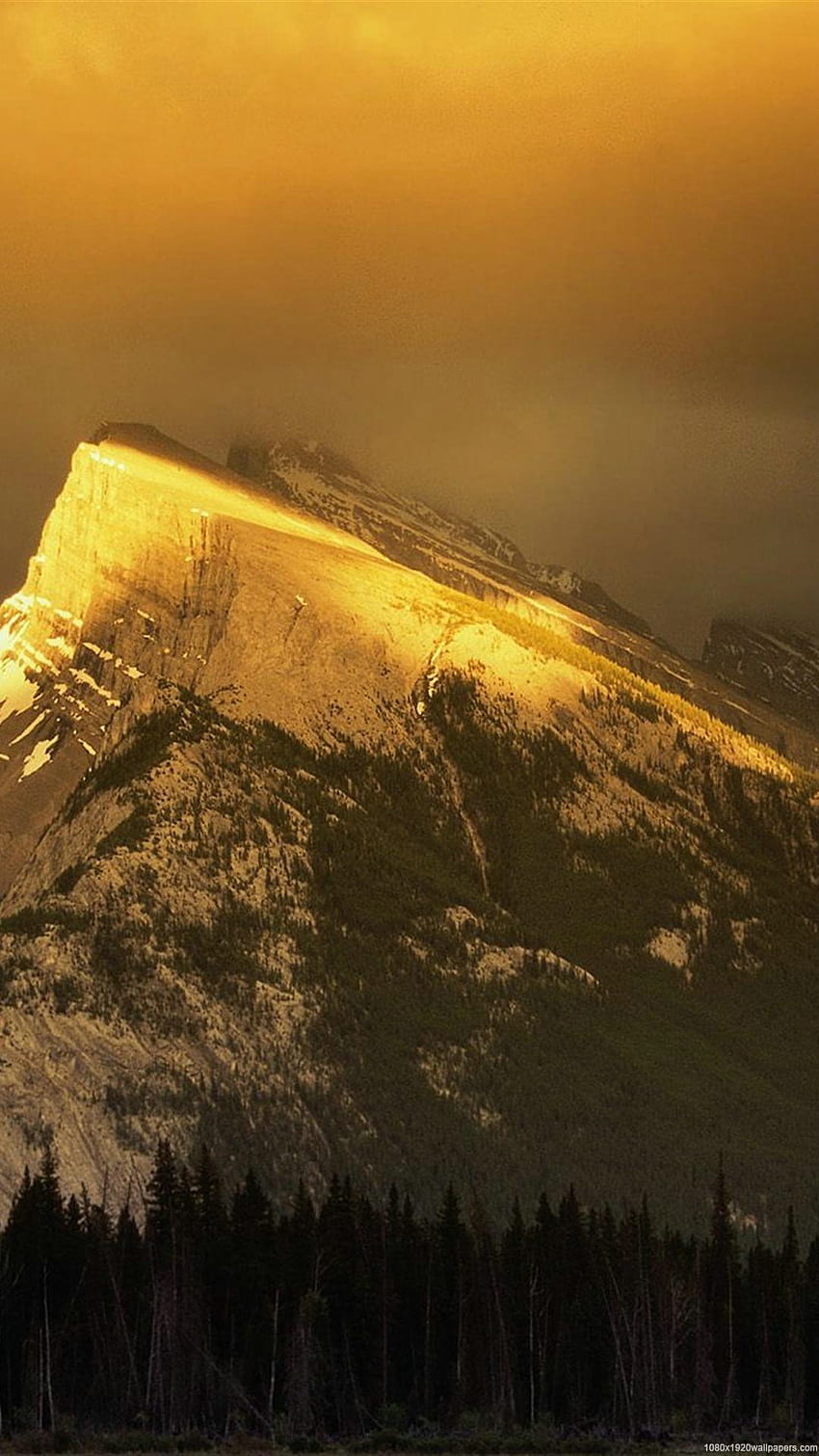 Mountain Gold Nature - Mount Rundle - - teahub.io, 골드 마운틴 HD 전화 배경 화면