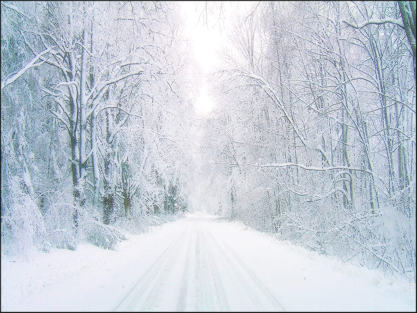 Dejando atrás el invierno, invierno, cg, fantasía, nieve, árboles, carretera fondo de pantalla