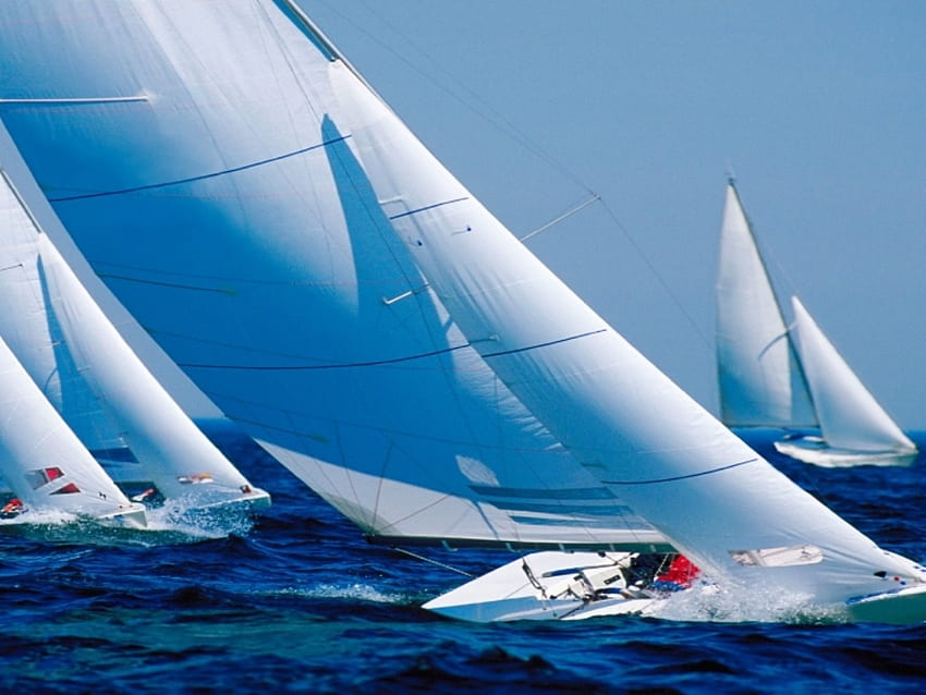 Catching the Wind, blue, sailboats, racing, water, ocean, competition HD wallpaper