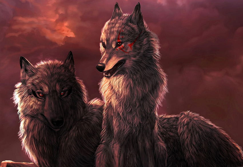 Wolf With Red Eyes Wolf .pro, Black Wolf with Red Eyes HD wallpaper | Pxfuel