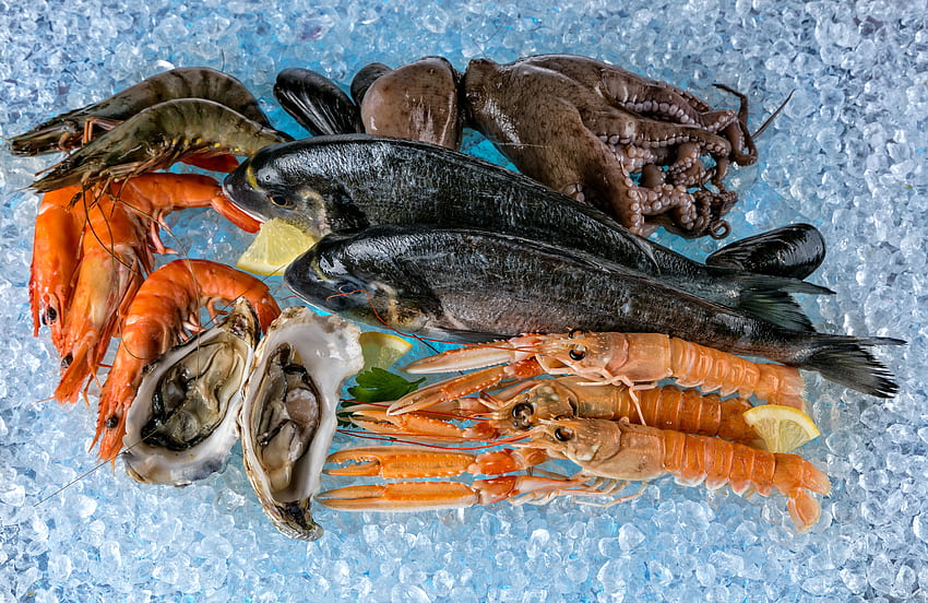 seafood . seafood HD wallpaper