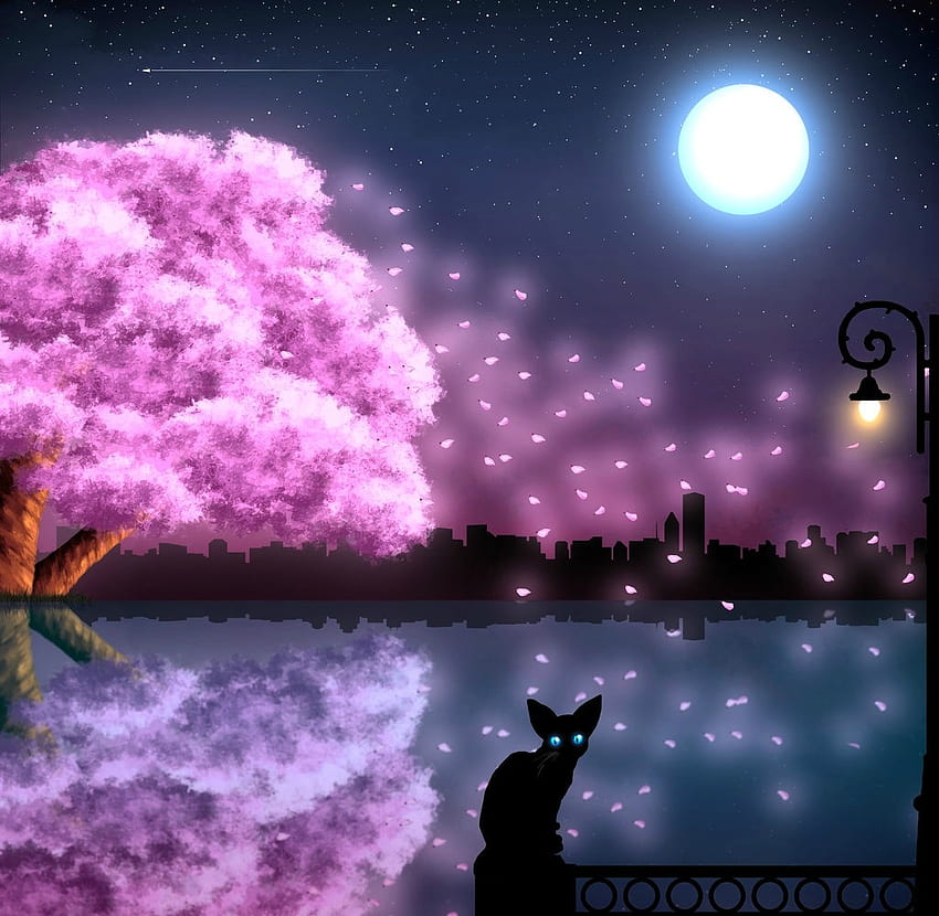 Moonlight, night, black, cat, spring, tree, pisica, pink, moon, sakura, ligt, luna, kunta-ilustraciones, luminos, lantern Sfondo HD