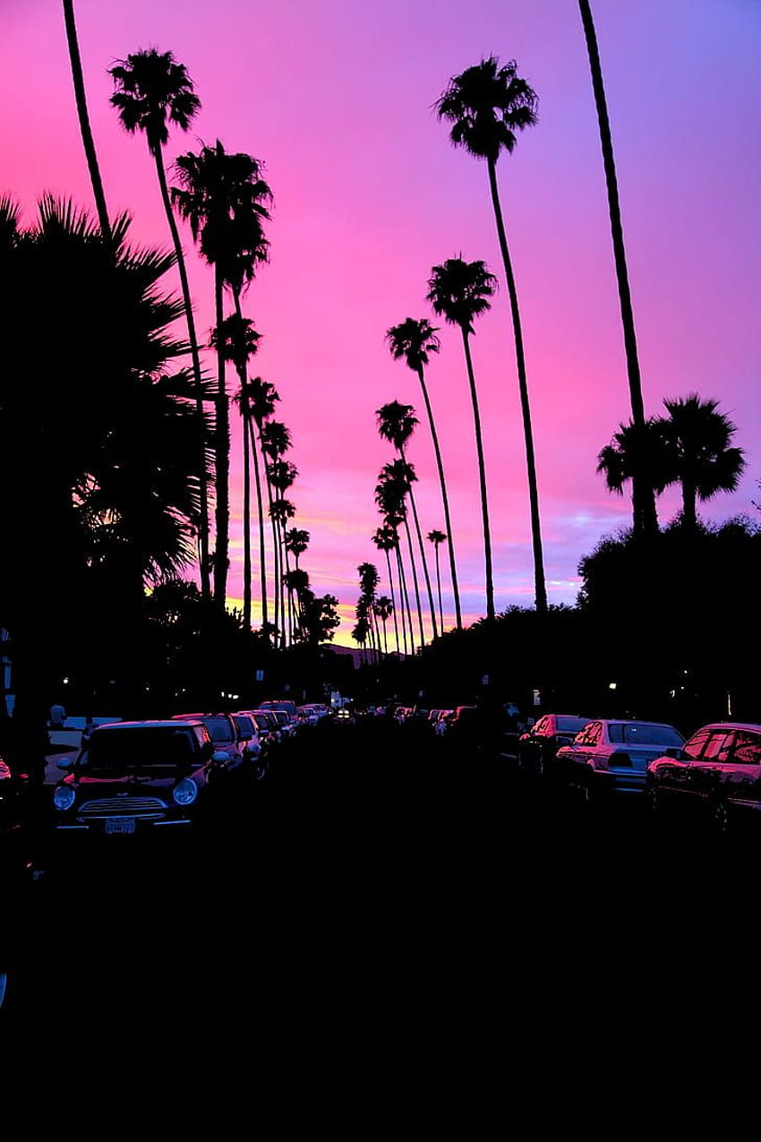 : sunset, palm trees, road, car, California, dark. Flare HD phone wallpaper