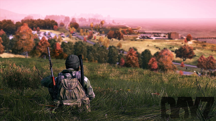 Impressionante DayZ In [x Post From R Gaming]: Dayz, 16 9 Vertical papel de parede HD