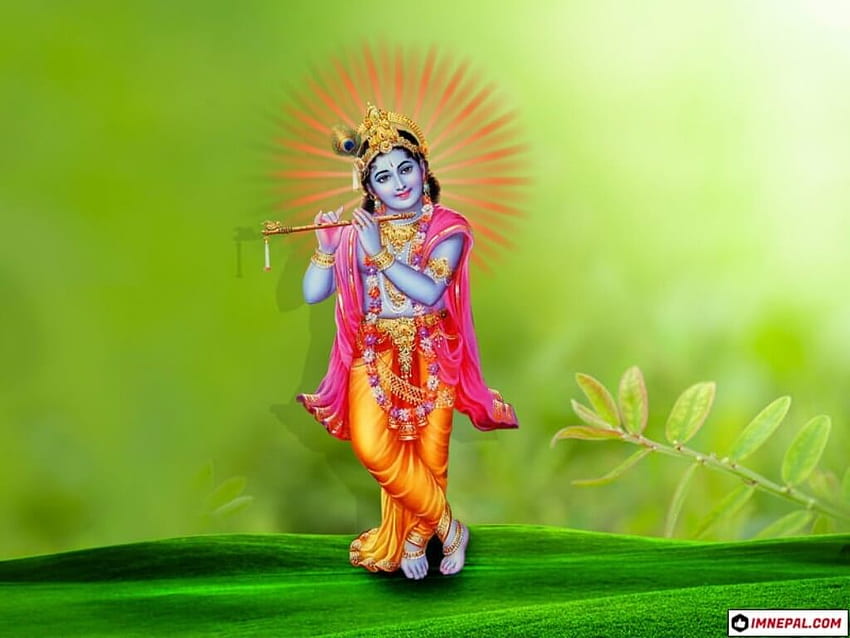 Magnificent Baby Krishna Pics On Happy Janmashtami 2020, Lord Shri Krishna HD wallpaper
