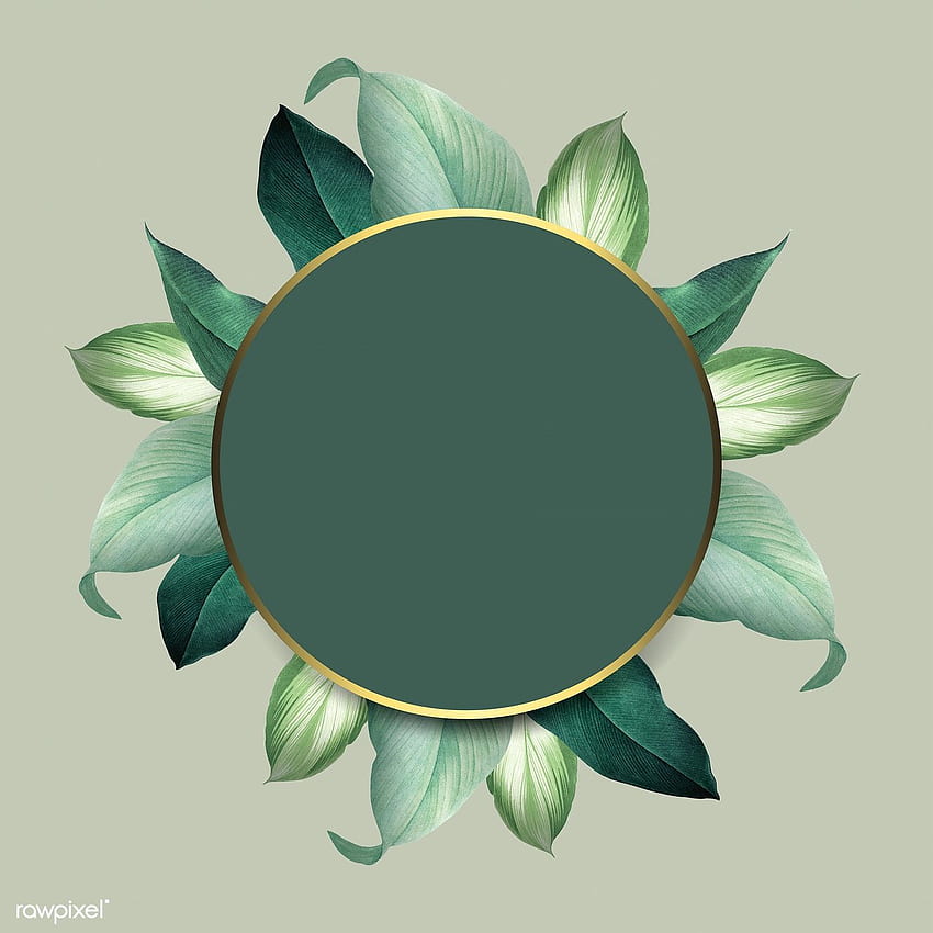 緑の背景のベクトルに丸い葉のフレーム。 /調整によるプレミアム 花の背景、緑の背景、額入り HD電話の壁紙