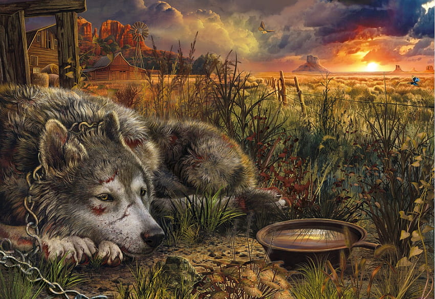 Lobo triste, animal, ilustración, lobo, fantasía fondo de pantalla