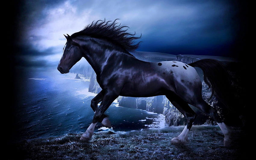 Fantasy Horse In The Dark Apps - ม้าดำและน้ำเงิน - -, Evil Horse วอลล์เปเปอร์ HD