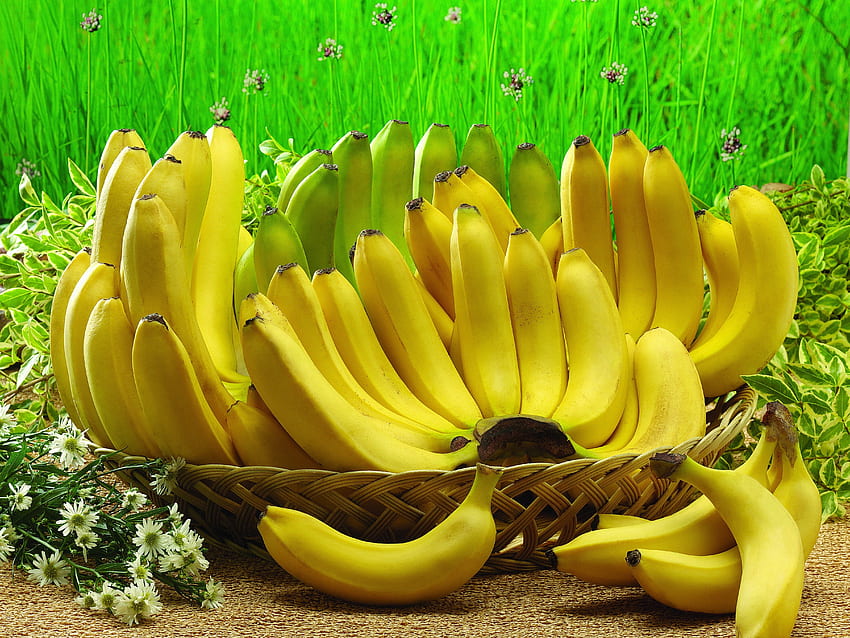 Banane et fond, fruit de la banane Fond d'écran HD