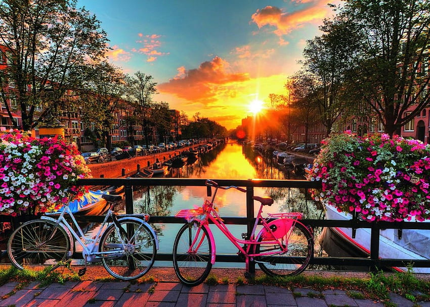 Zachód słońca w Amsterdamie, kanał, rowery, grafika, amsterdam, niebo, kwiaty, woda, zachód słońca Tapeta HD