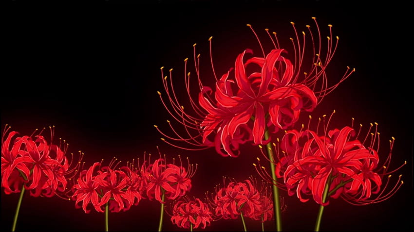 O co chodzi z tymi kwiatami i anime z upiorami demonów? Co to jest czerwona lilia pająka Tapeta HD