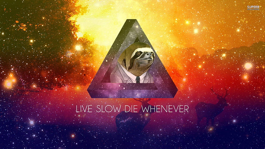 My laptop background I might post this everytime in the context of sloths HD wallpaper
