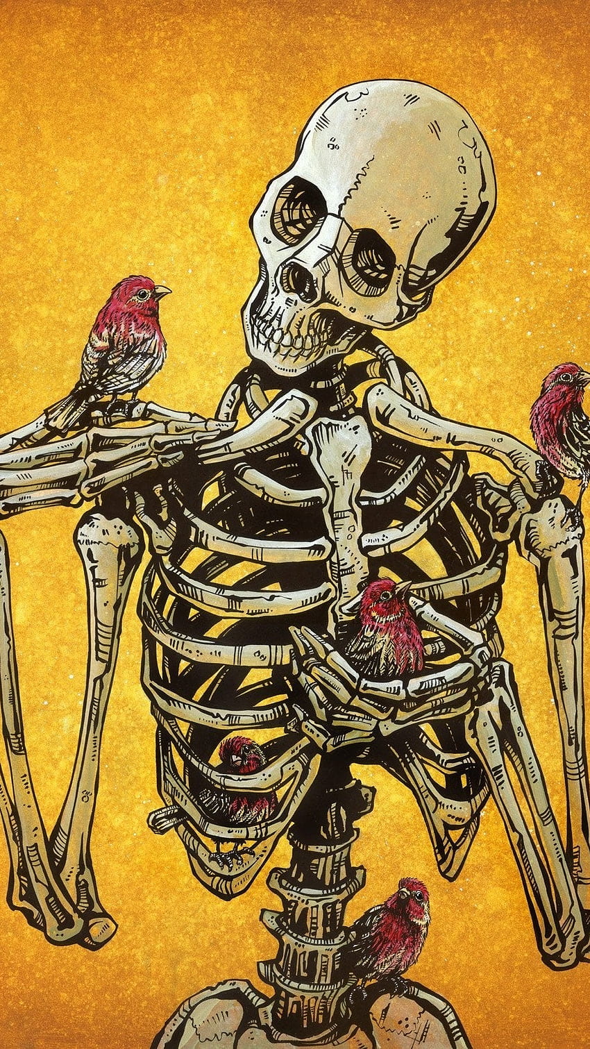 スケルトン、鳥、人間の骨格 HD電話の壁紙