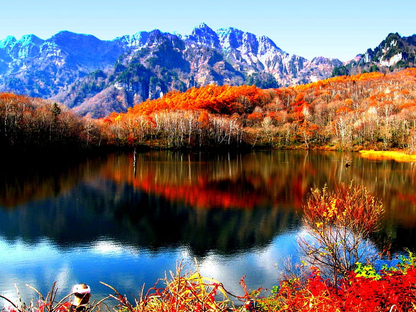 LAC DEBUT D'HIVER, hiver, automne, reflexion, lac Fond d'écran HD