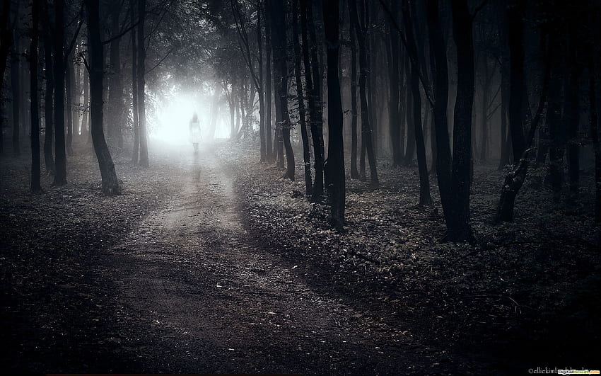 Girl Walking Alone in Forest Path Lonely Sad 1084 - Lonely Winter Path HD wallpaper